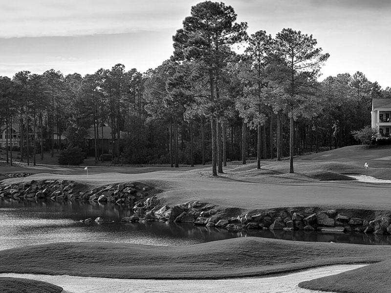 A scenic black and white image of a beautiful golf course surrounded by lush trees, creating a serene and elegant landscape.